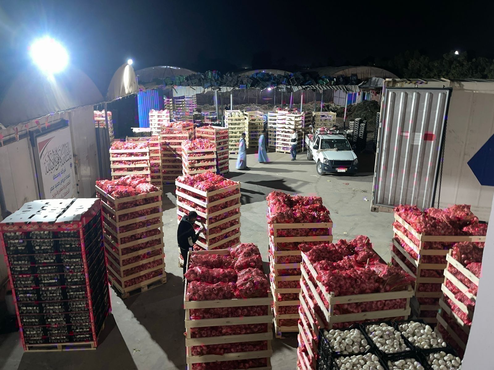 Onion export packing yard